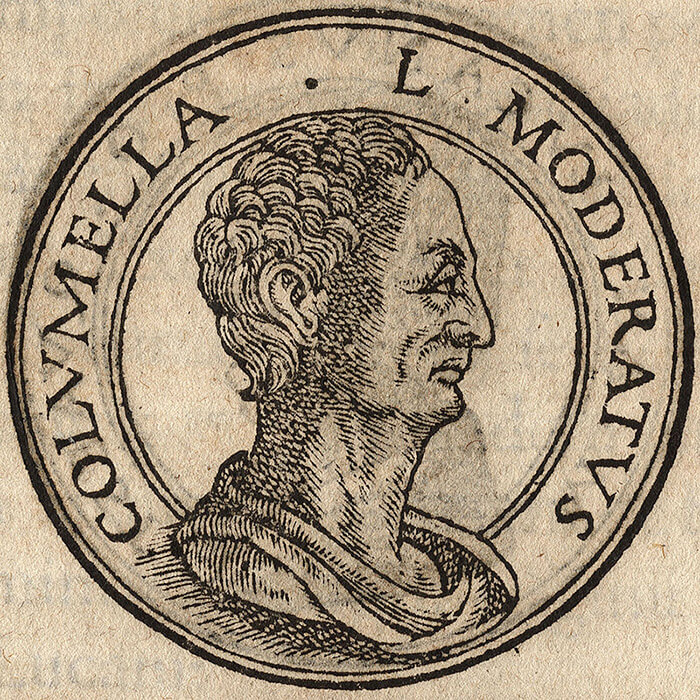 Lucius Junius Moderatus Columela